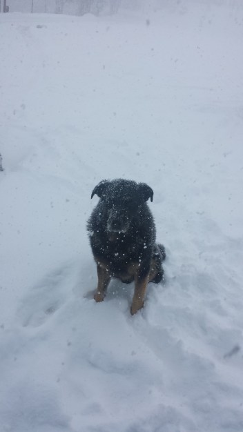 Nós vamos, eles ficam. 