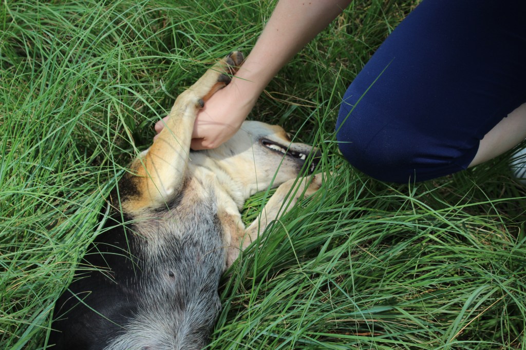 Ela sabe o que é bom!