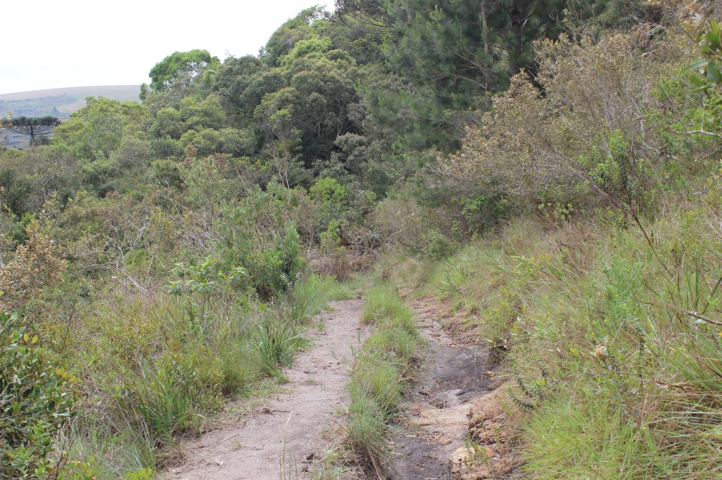 A trilha pode cansar em um dia quente...