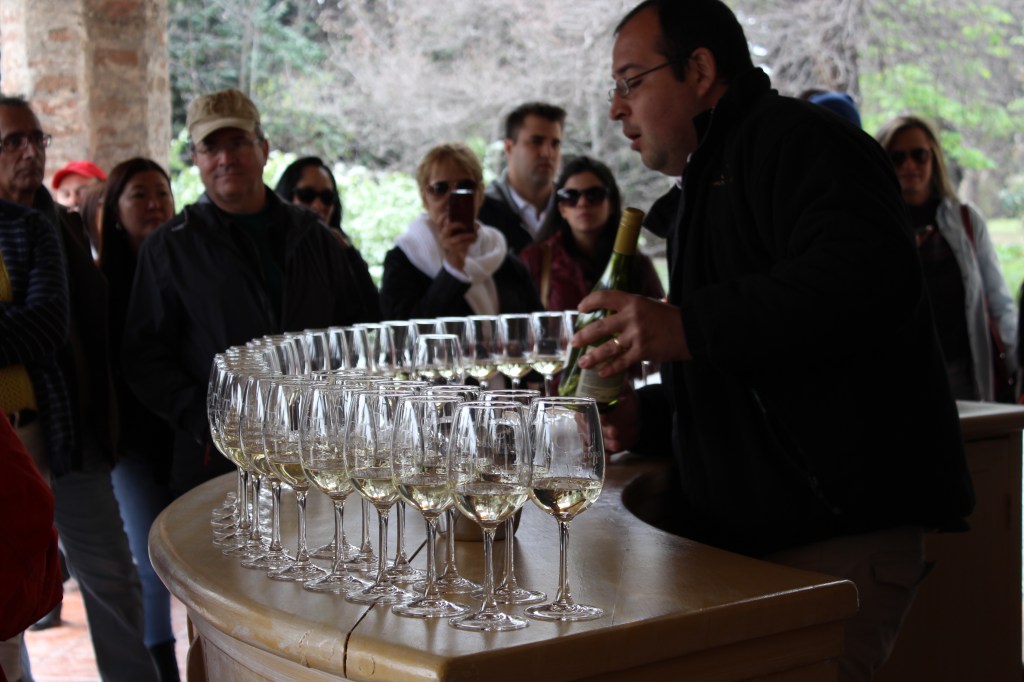 A poucos instantes de degustarmos o primeiro vinho!