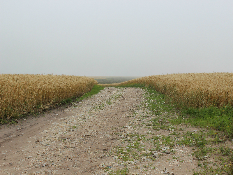 Vale a pena parar alguns minutos para observar...