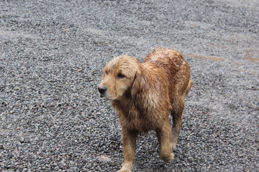 Um amicão dando um tchau e desejando boa subida! ;)