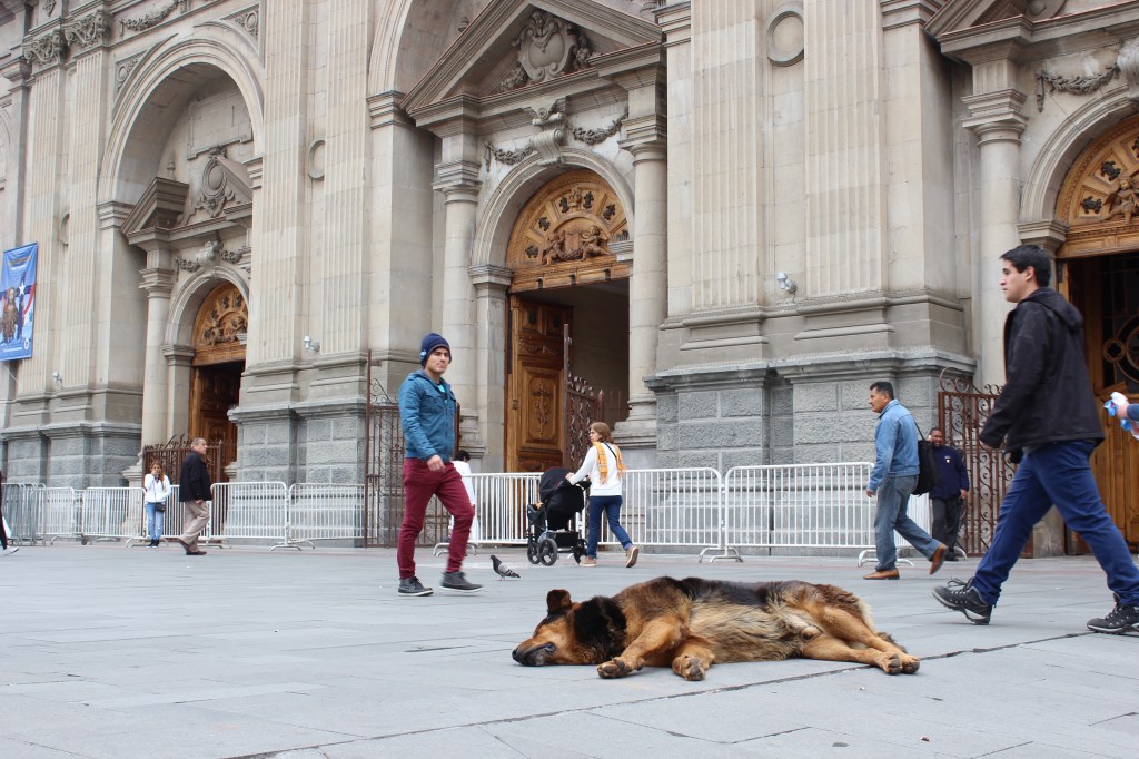 Em frente a catedral. 