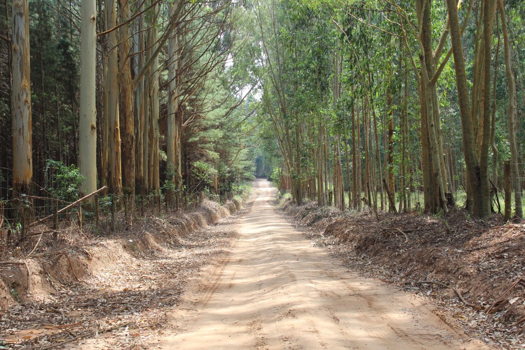 Não atolando o carro tá 'ótemo'!