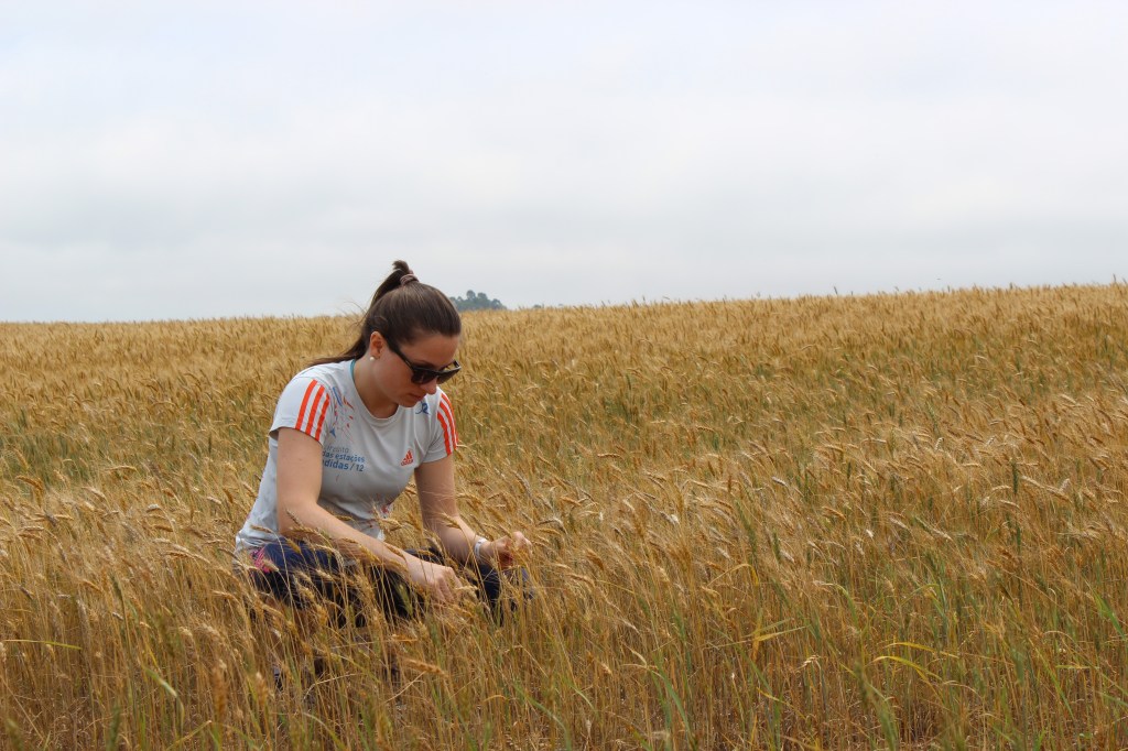 Apanhadora no campo de centeio. (ok, não é centeio!)