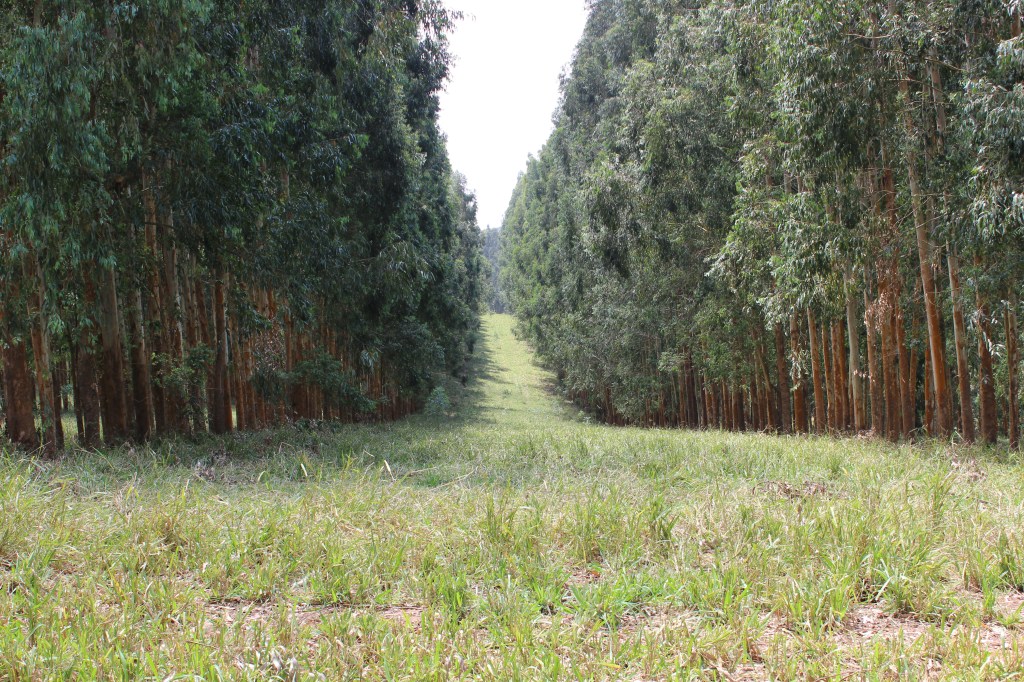 A quantidade de belas paisagens pelo caminho é enorme.