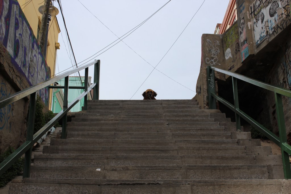 Tudo certo aqui amigo, pode ficar de boa. 