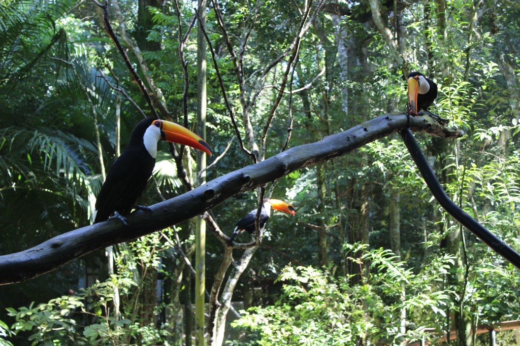 Merece mais uma foto. 