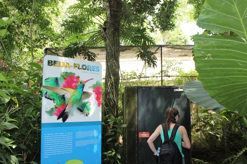 Controlando os nervos e pedindo ajuda aos céus para um passeio radical: entrar no borboletári. :)